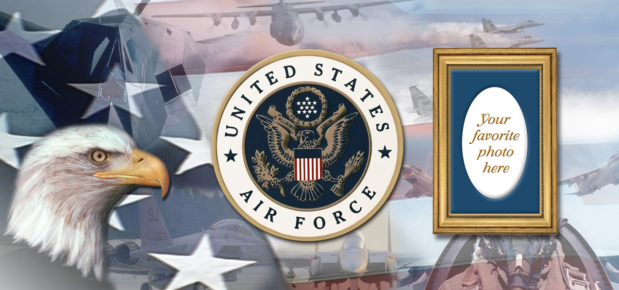 P 401 FR US Air Force